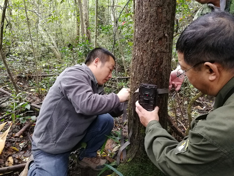 在金盆山省级自然保护区安装红外自动相机 (8141).jpg